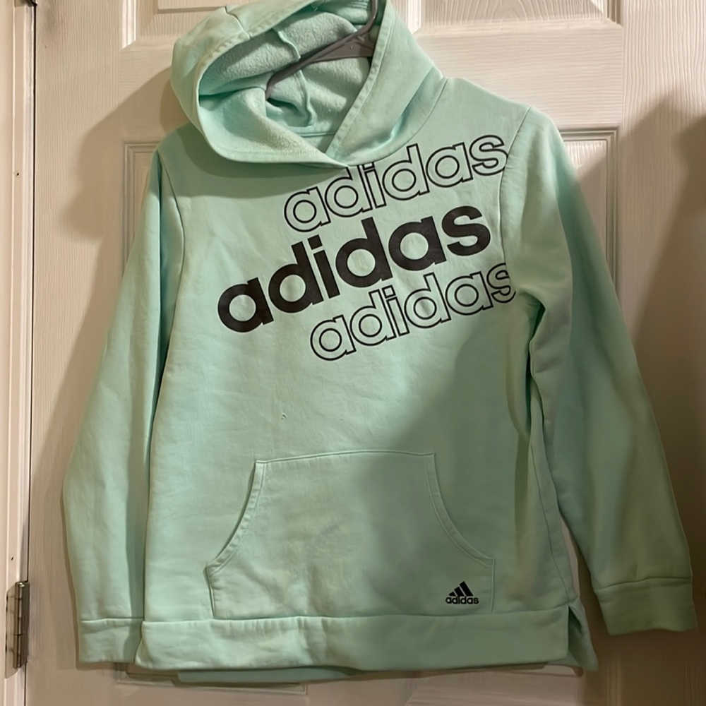 Teal adidas hoodie